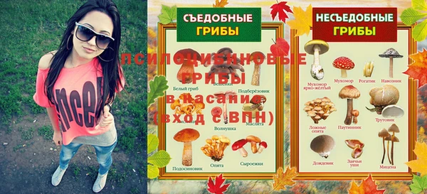 прущая мука Богданович