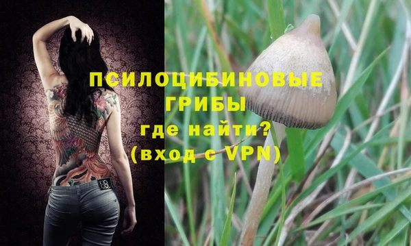стафф Богородицк