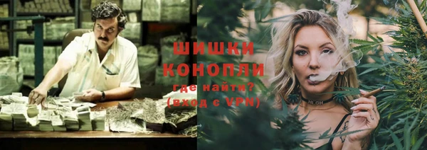 молекула духа Богородск