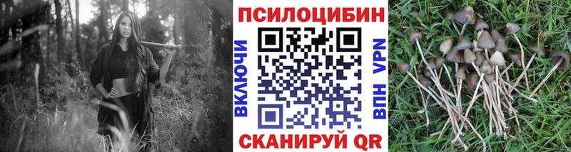 Псилоцибиновые грибы MAGIC MUSHROOMS  shop формула  МЕГА tor  Армавир  где можно купить наркотик 